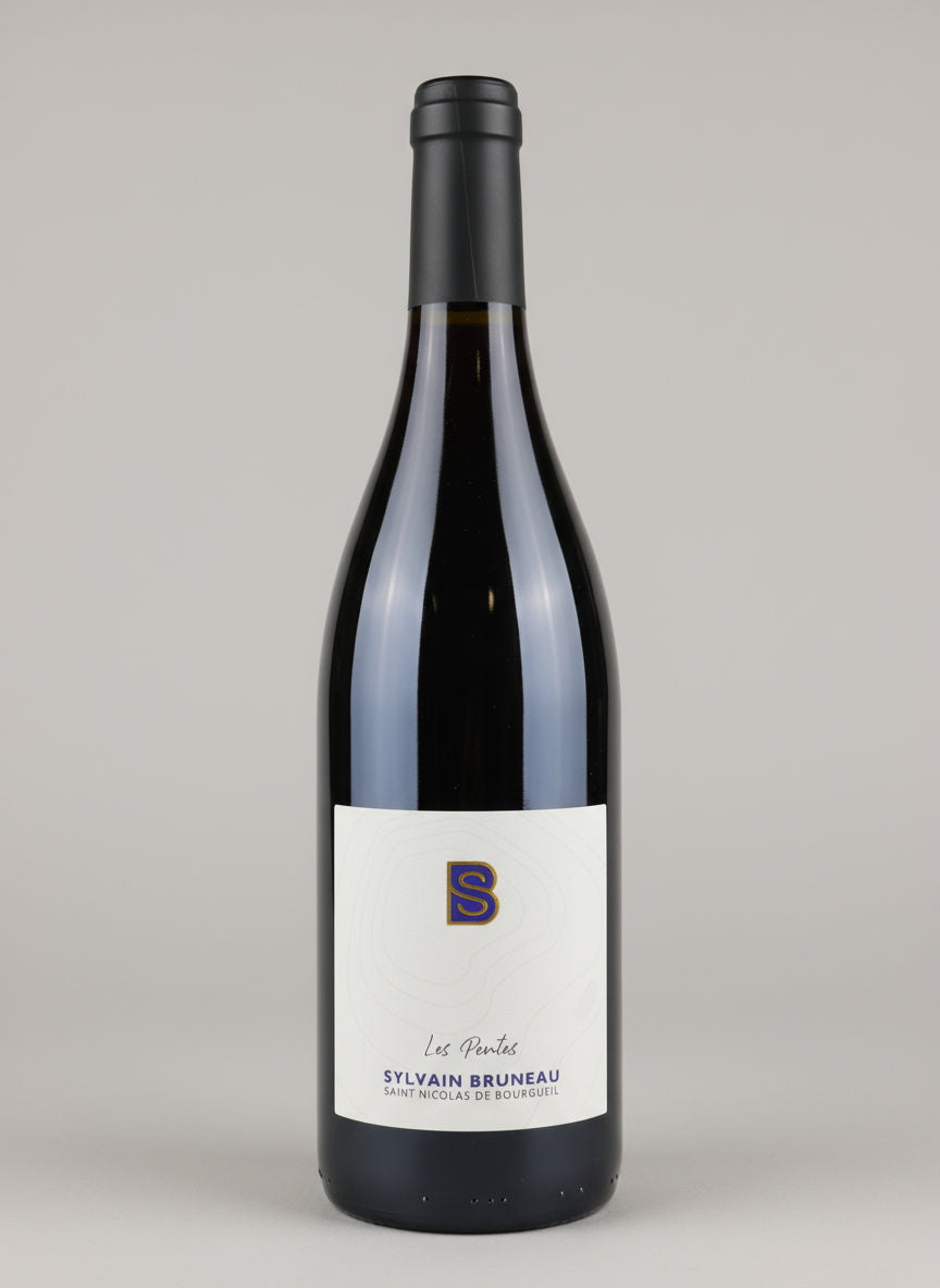 SAINT NICOLAS DE BOURGUEIL SYLAVIN BRUNEAU "LES PENTES"